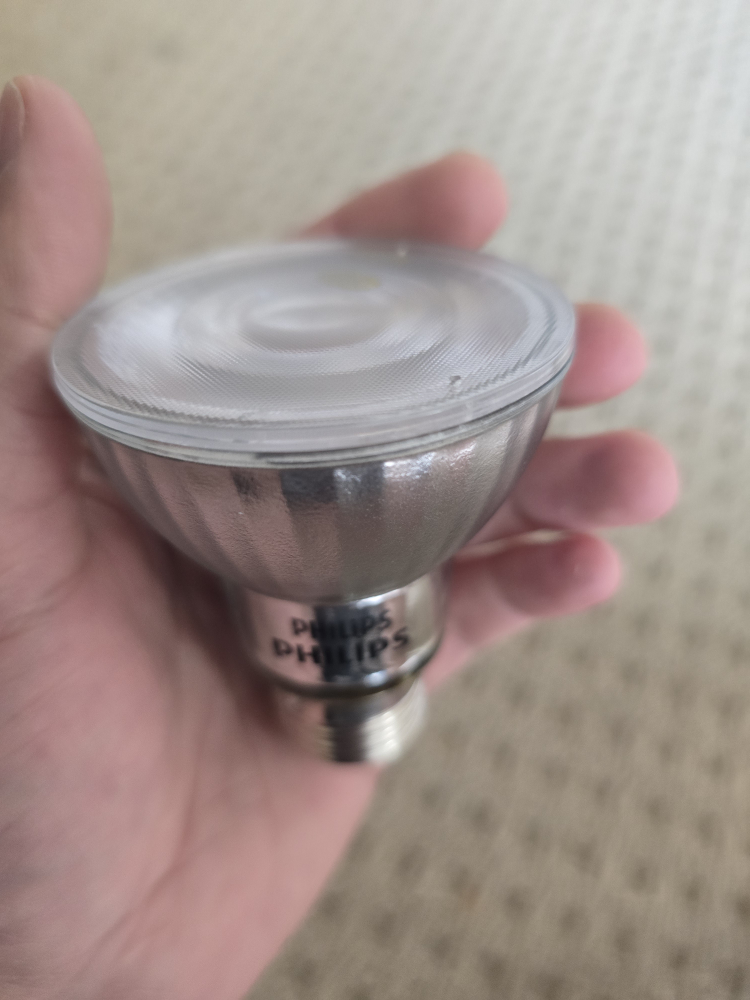 Philips Dimmable 500 Lumen LED Light Bulb