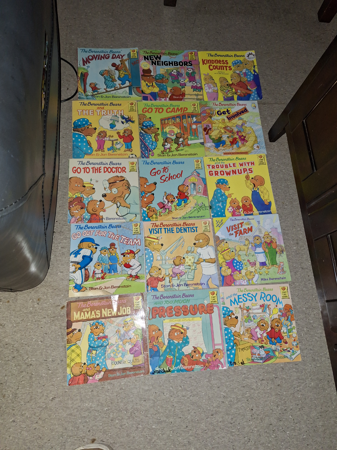 Lot of Berenstain Bears Children's Books
