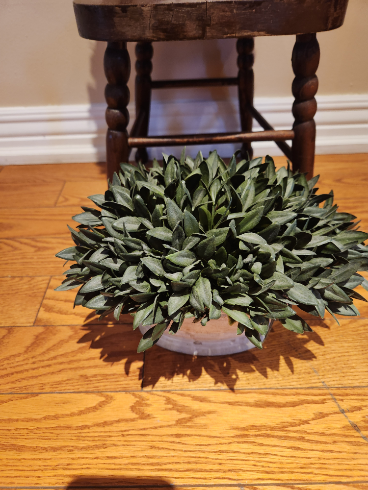 Set of Two Artificial Boxwood Topiary Balls in Decorative Pots - photo 3
