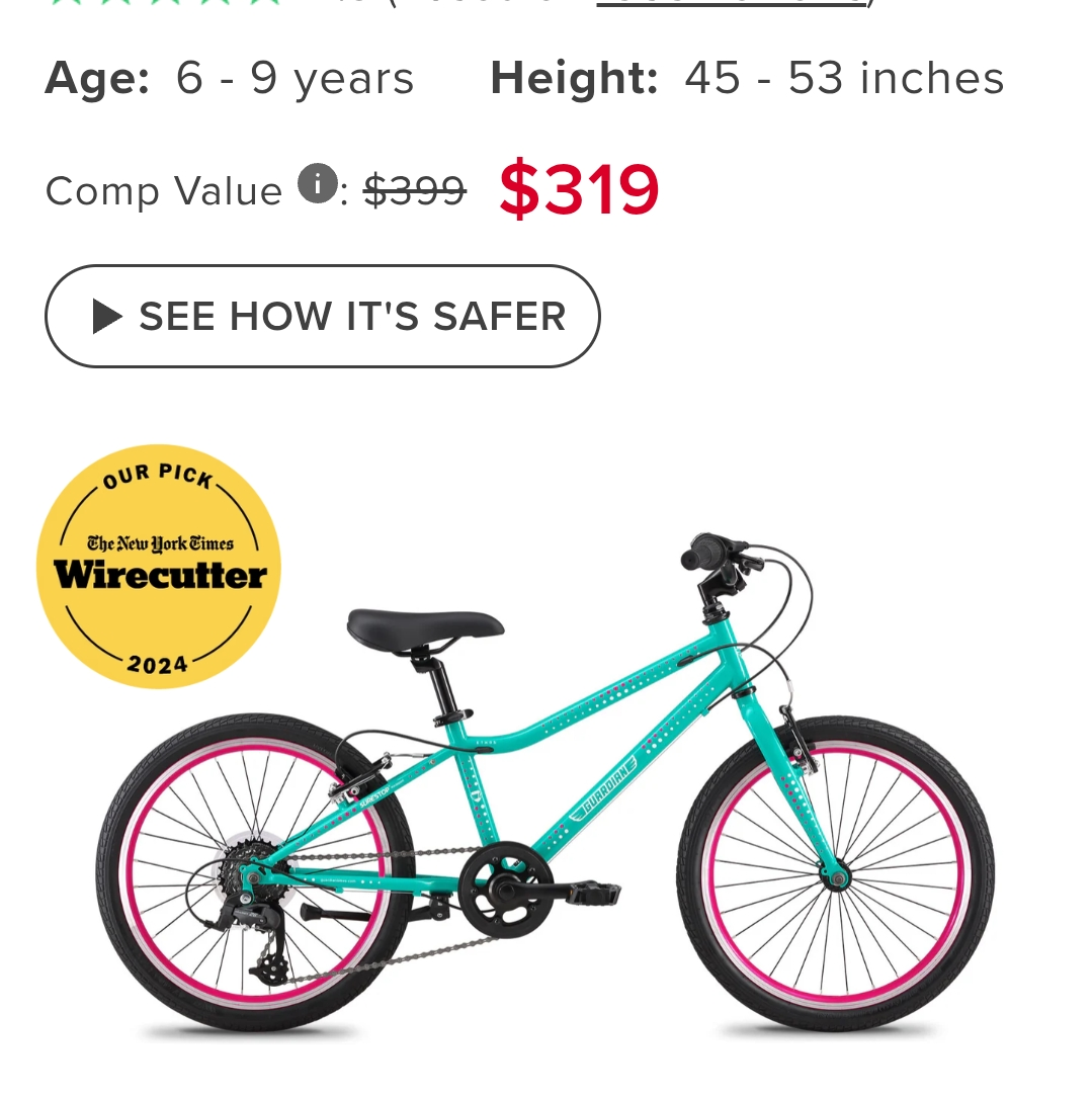 Guardian 20-inch Kids Bike Teal