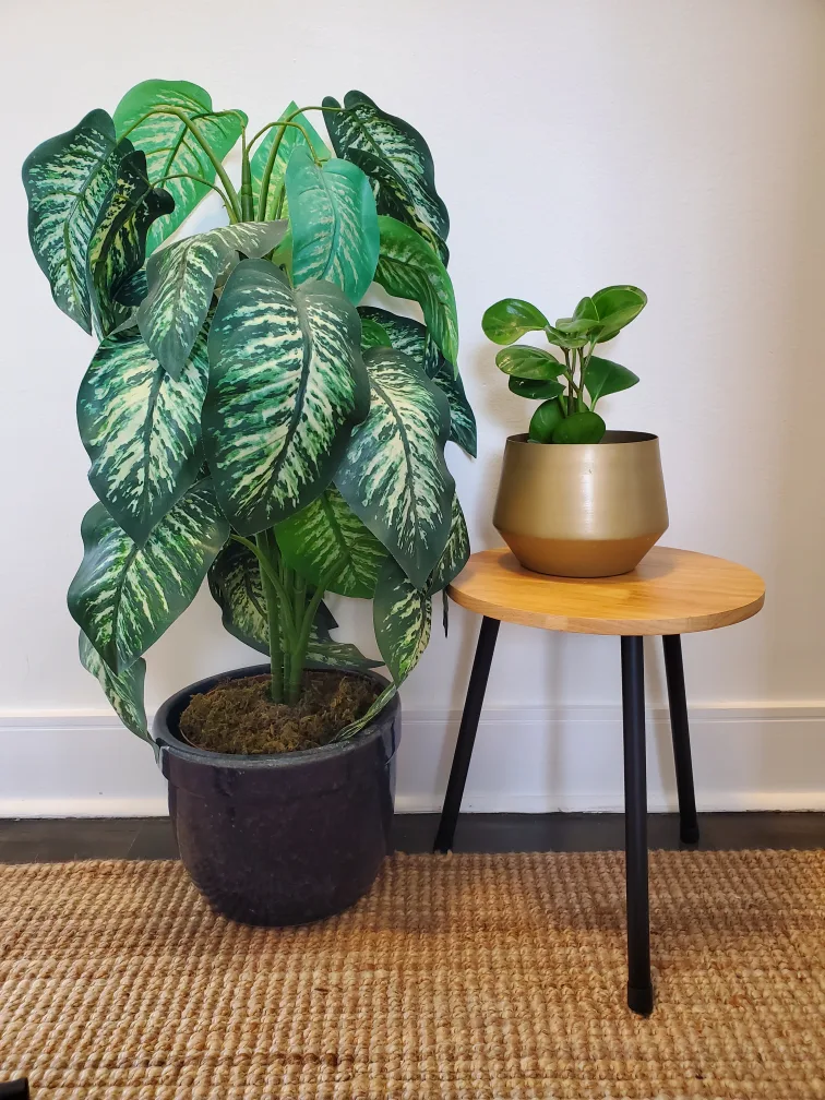 Round Plant Stand with Three Heights image indicator(3)