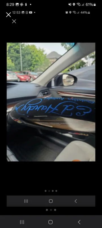 Ed Hardy Steering Wheel Cover 💚 image indicator(2)