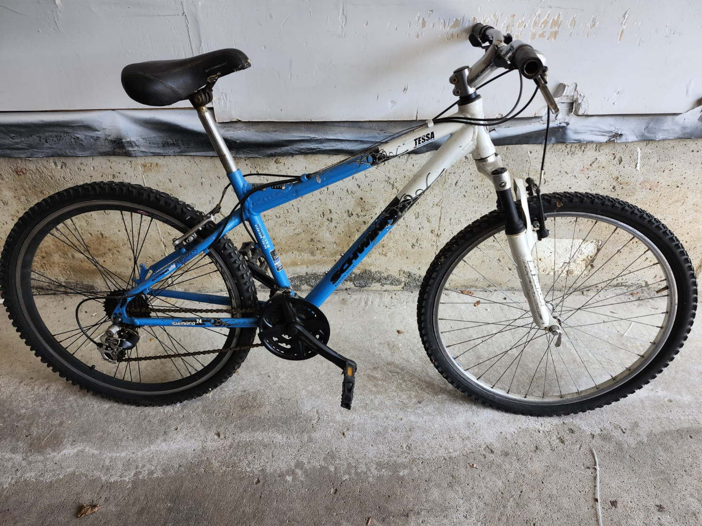 Schwinn Tessa Mountain Bike