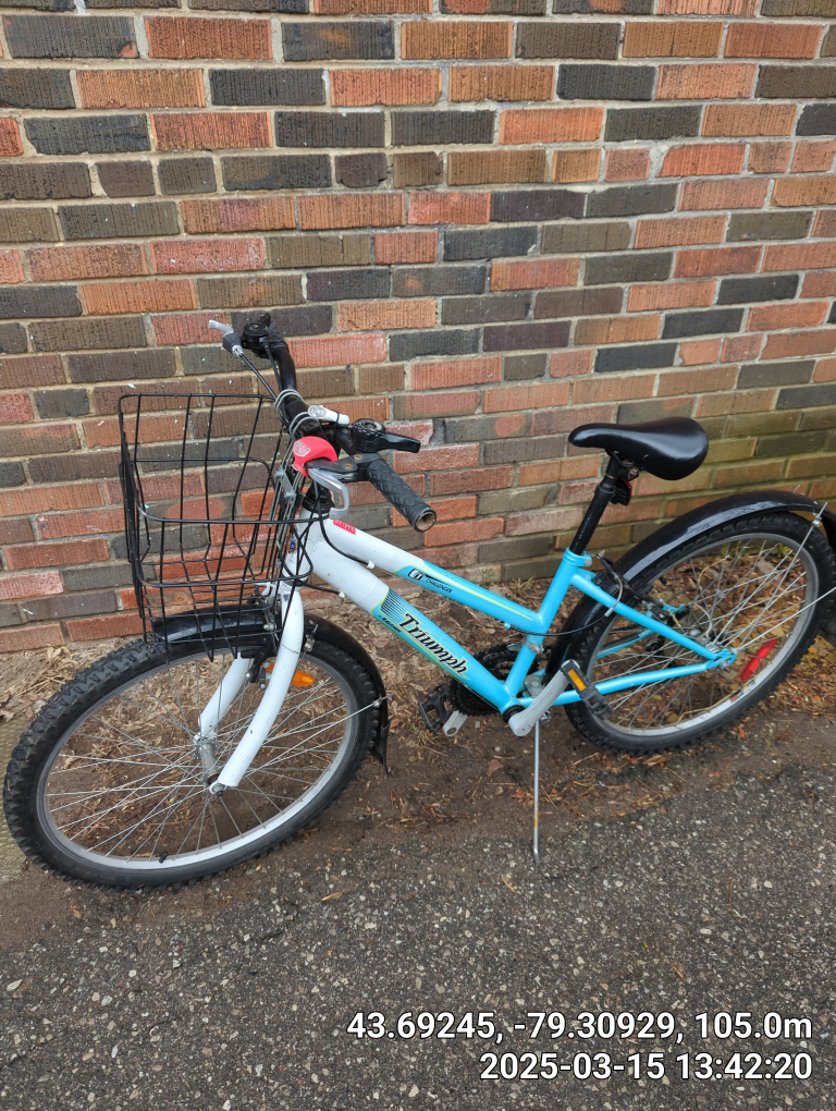 Triumph Girls' Bike