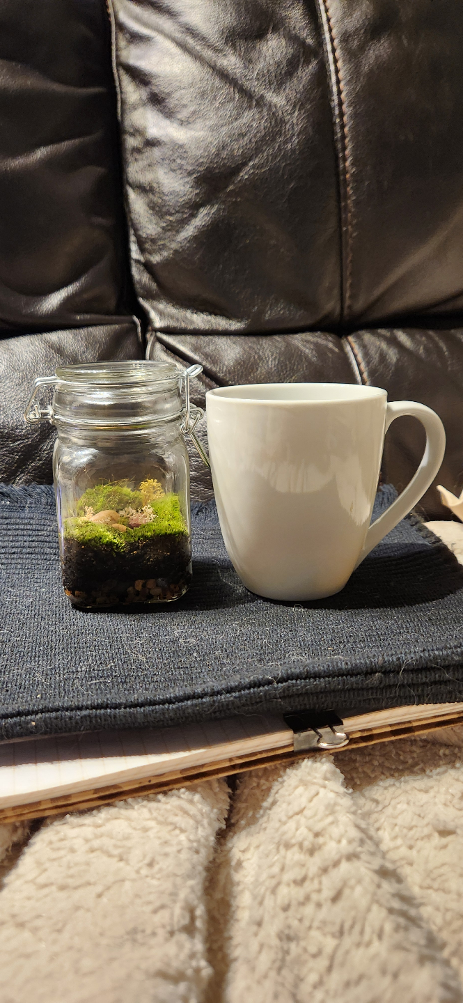 Miniature Terrarium in Glass Jar - photo 4