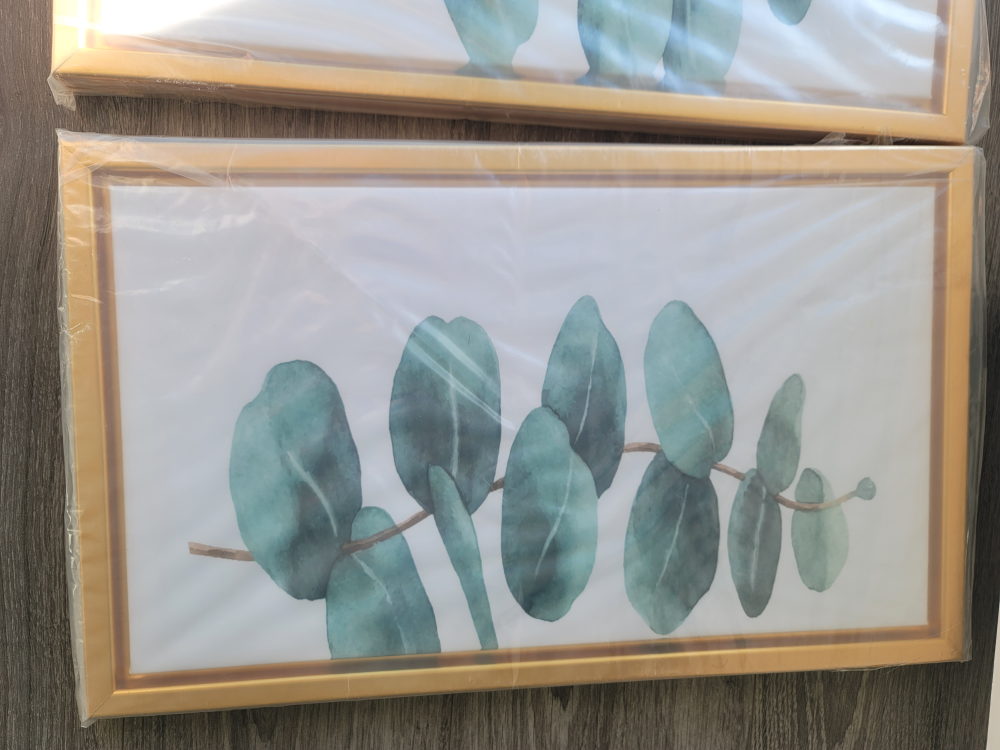 Set of three eucalyptus leaf framed wall art - photo 2