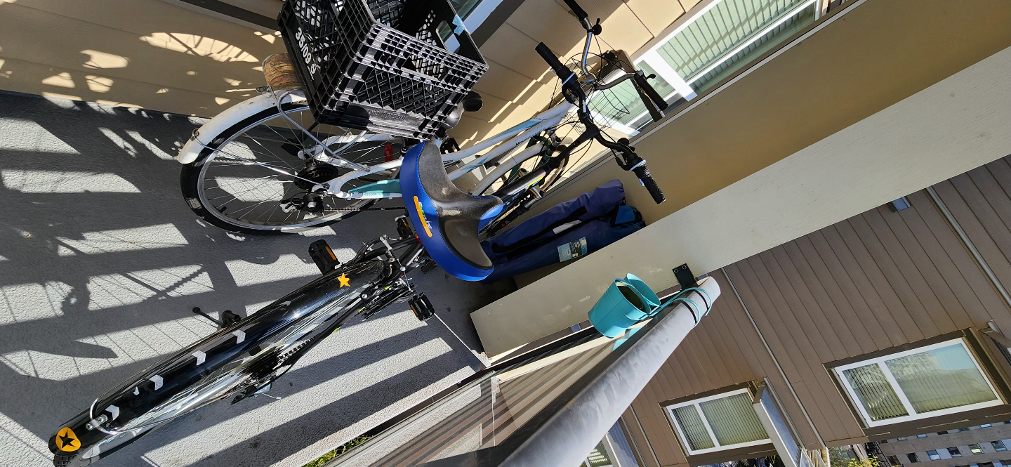 Two Used Bikes for Sale - photo 2