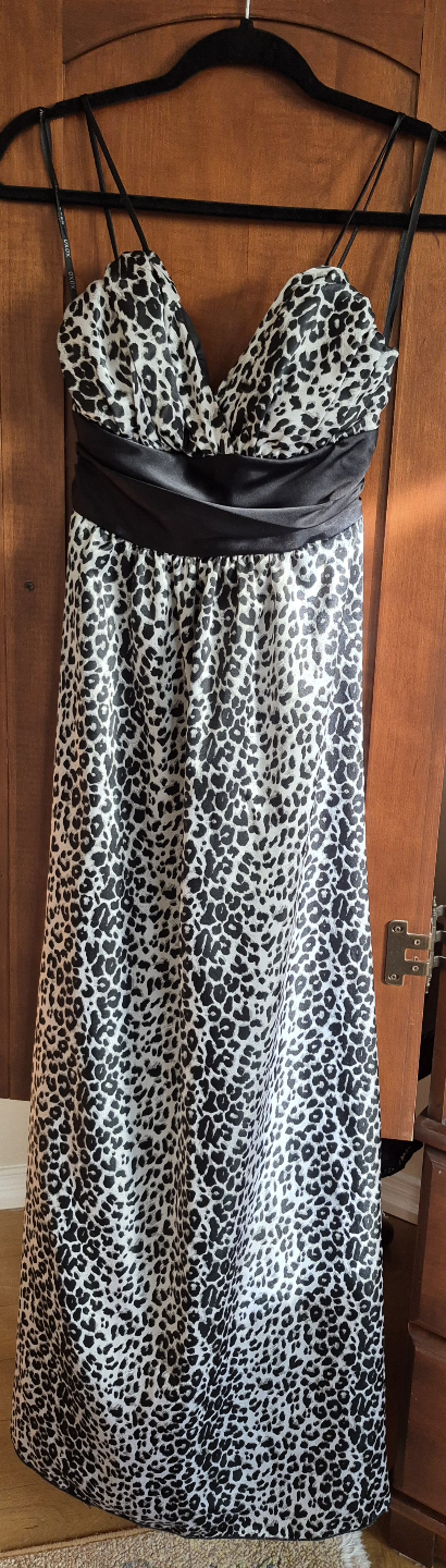 Gorgeous Leopard Print Maxi Dress