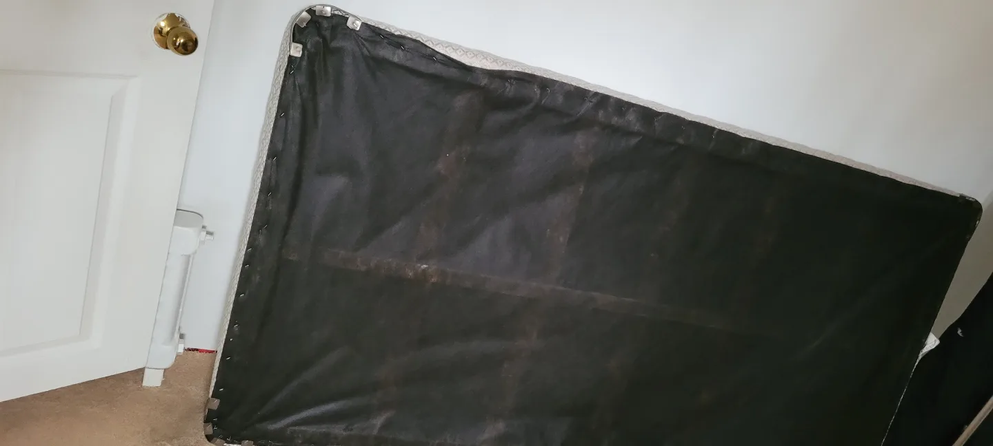 Single  twin Box Spring image indicator(4)