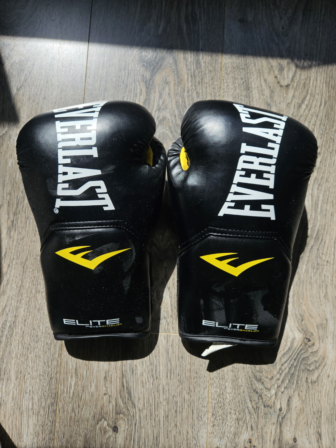 Everlast Elite 12oz Boxing Gloves