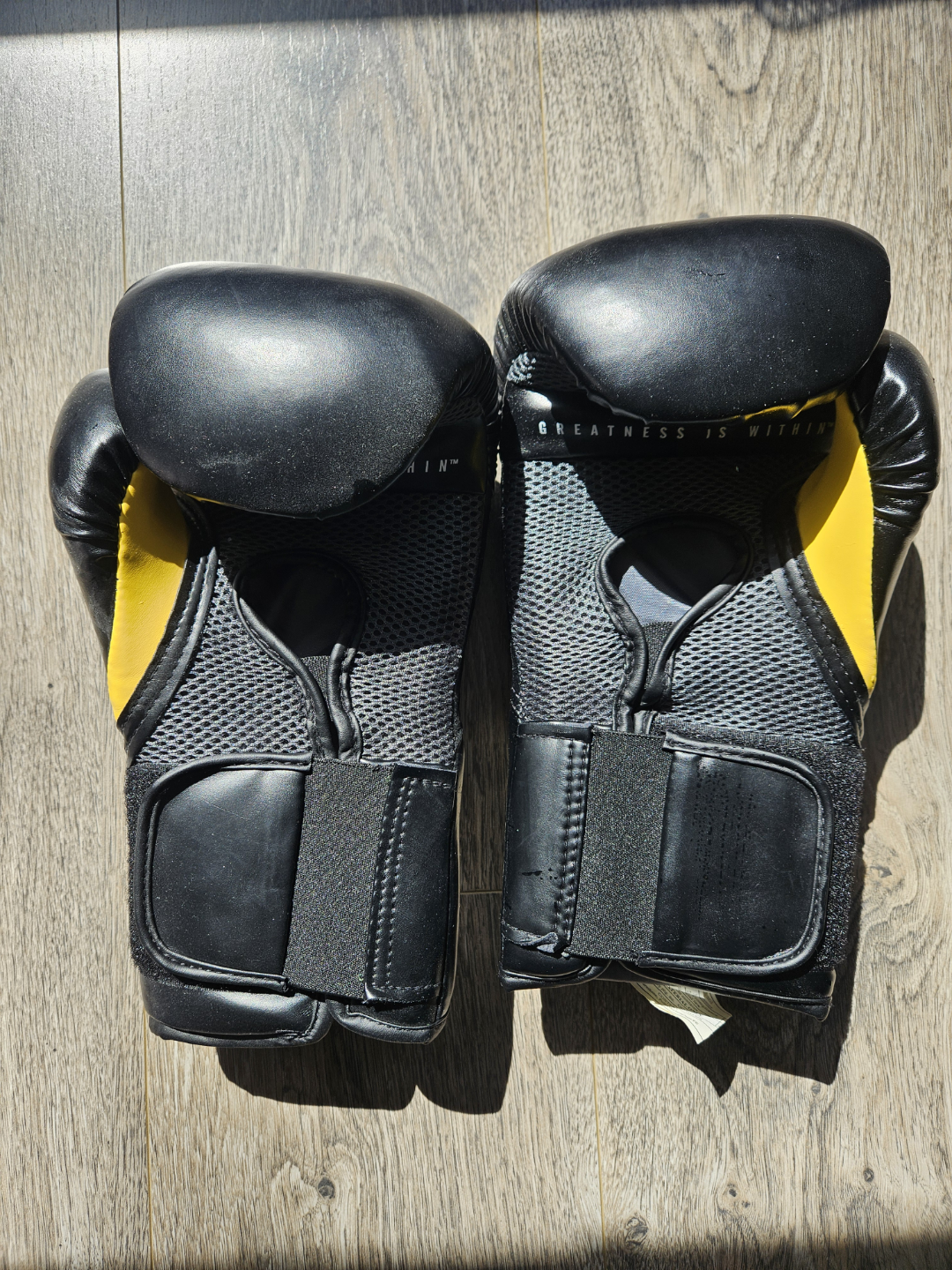 Everlast Elite 12oz Boxing Gloves - photo 2
