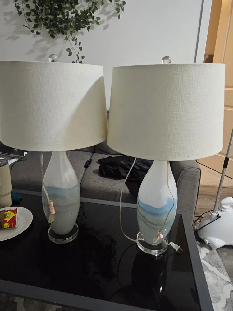 Pair of Decorative Vases and Table Lamp💚 image indicator(8)