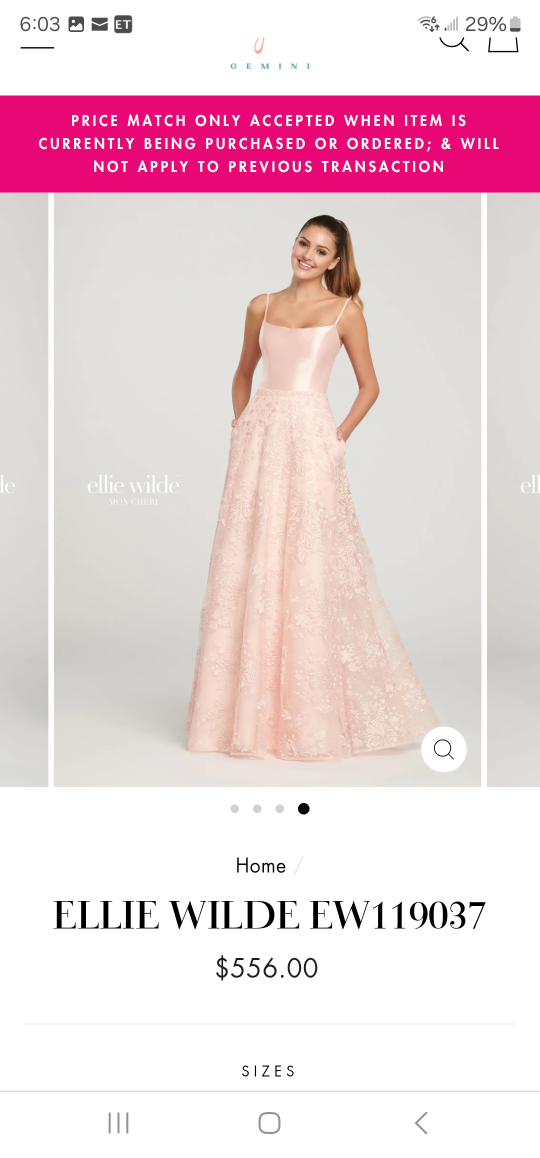 ellie wilde long gown