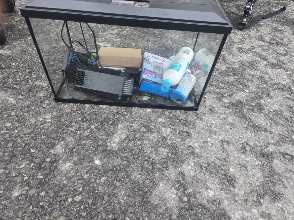 Fish Tank with Accessories
