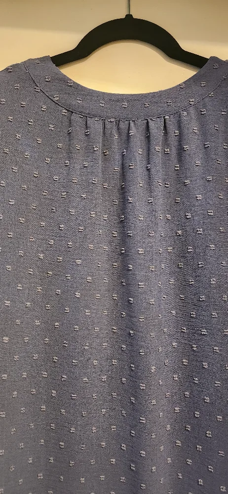 Blue Flutter Sleeve Blouse image indicator(9)