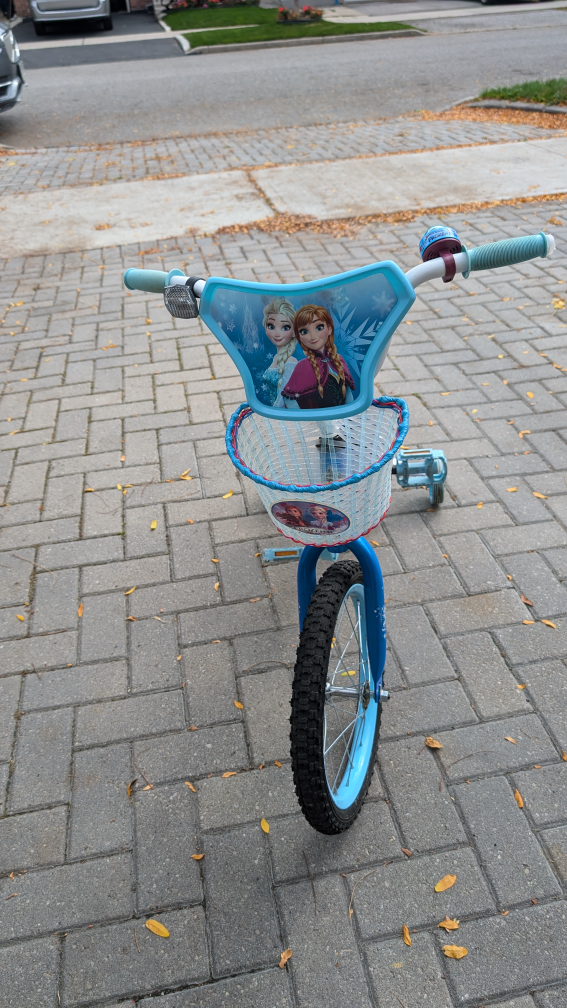 Frozen Girls Bike with Training Wheels 12" Frame