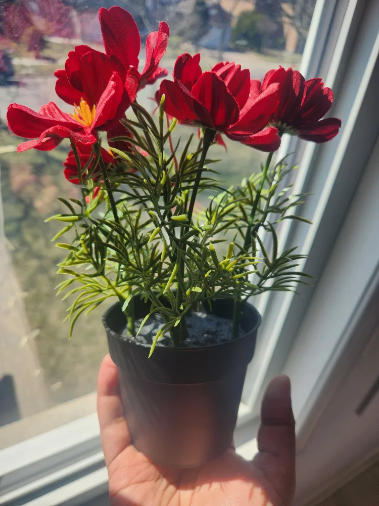 Artificial Red Cosmos Flowers in Pot 💚 image indicator(2)