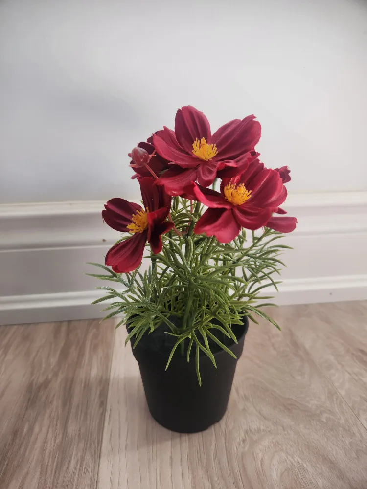 Artificial Red Cosmos Flowers in Pot 💚 image indicator(3)