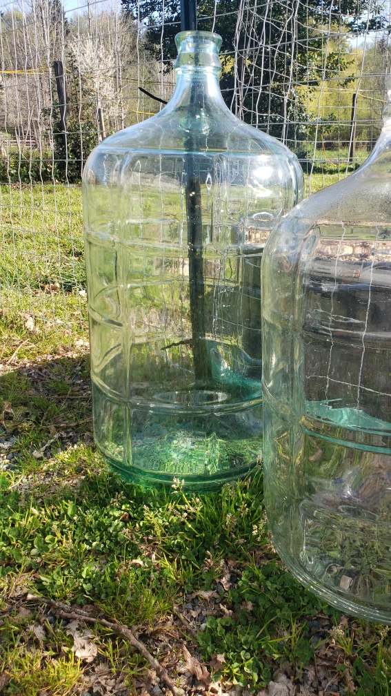 glass carbouy swear jar $25 each