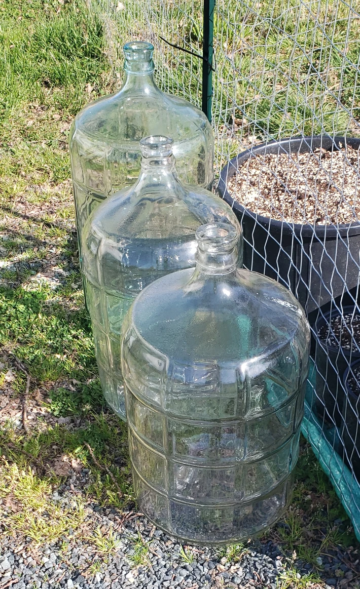 glass carbouy swear jar $25 each - photo 2