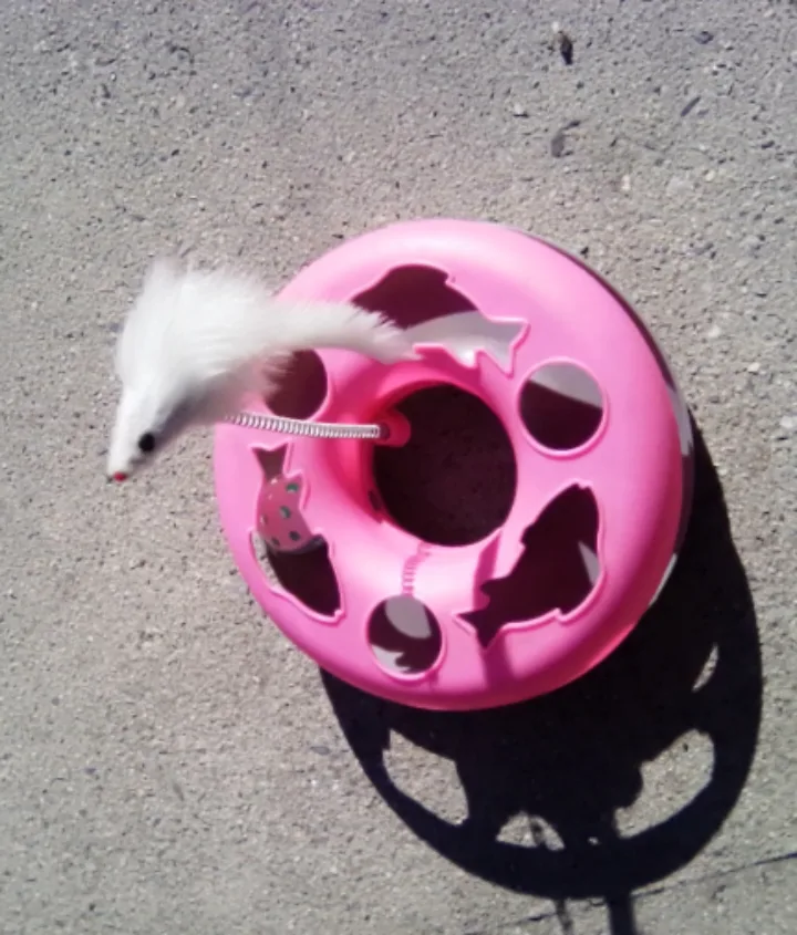 Pink Cat Toy with Rolling Ball and Feather Teaser 💚 image indicator(2)