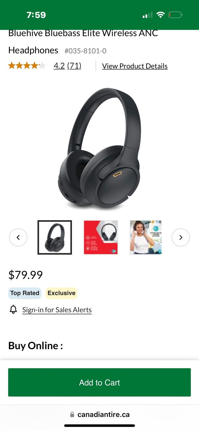 Bluehive Bluebass Elite True Wireless ANC Headphones - photo 4