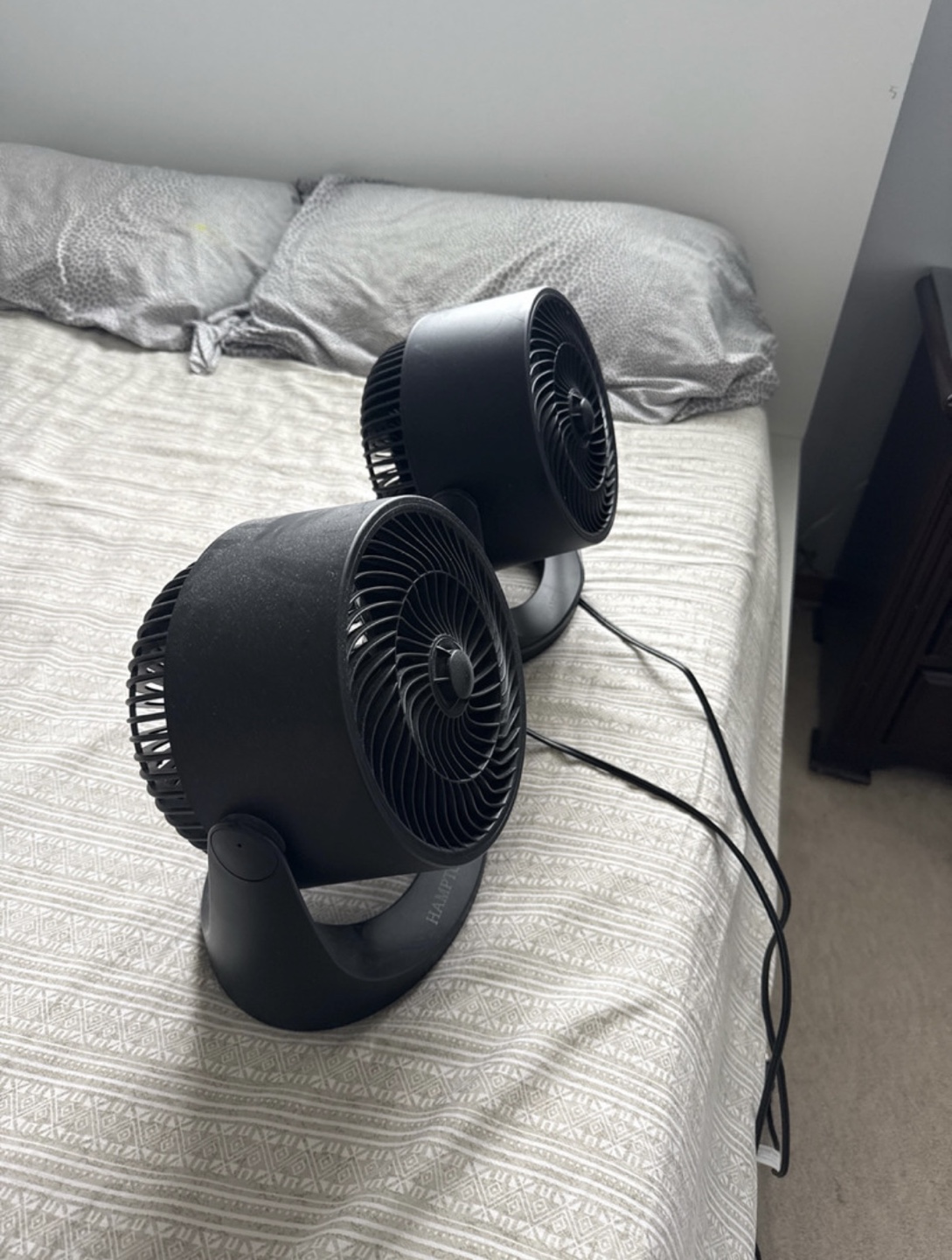 Pair of Hampton Bay Oscillating Fans