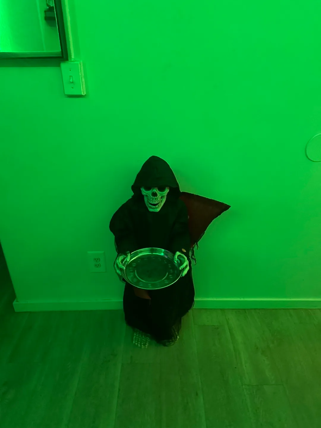 Halloween Grim Reaper Animated Figure with Light-Up Eyes image indicator(4)