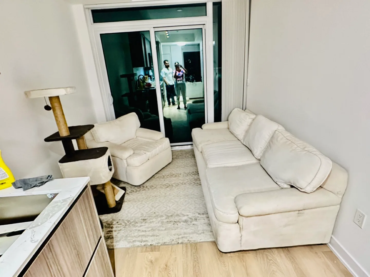 Single Wayfair sofa image indicator(2)