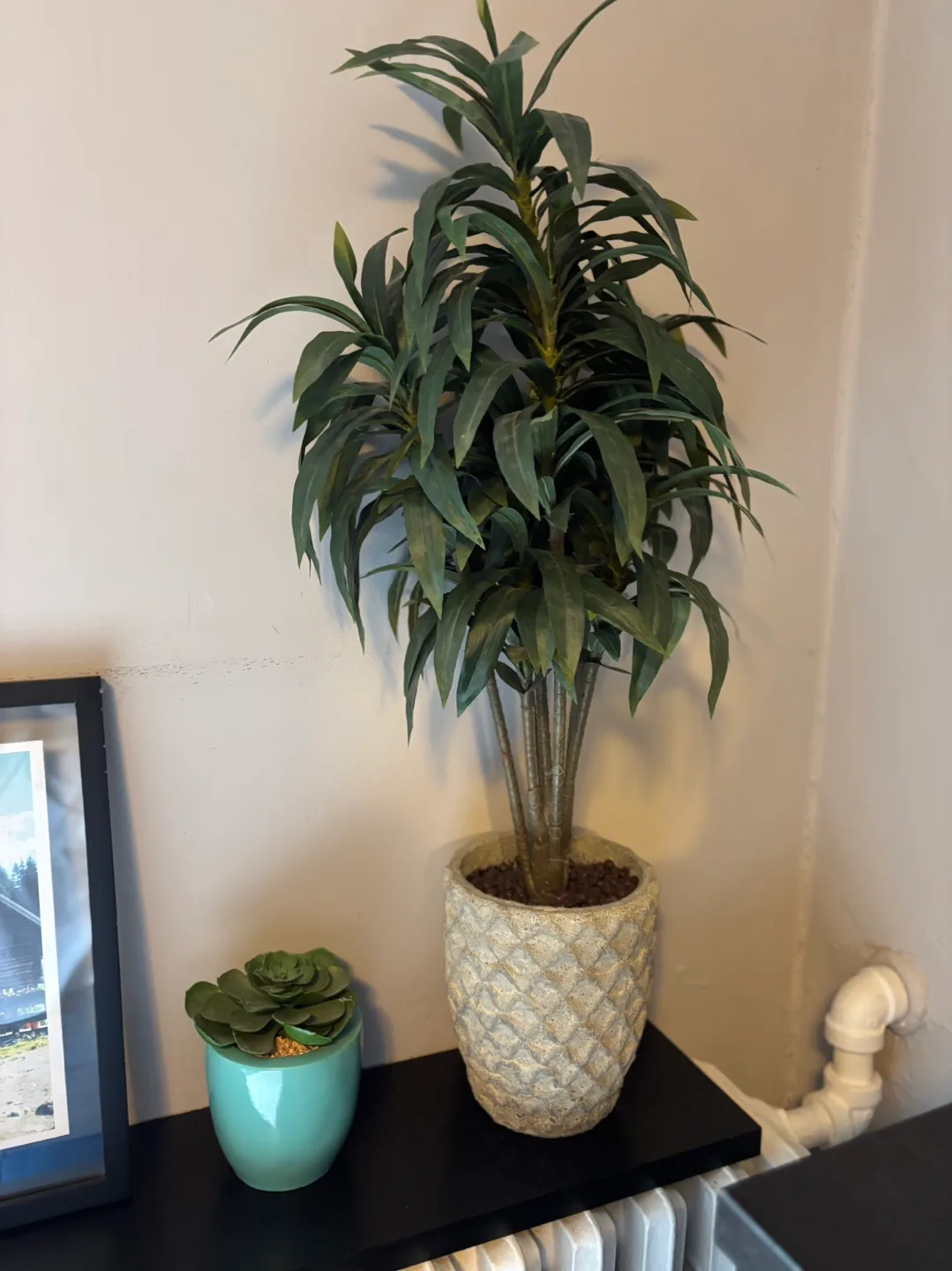 Artificial Yucca Plant in Pot thumbnail