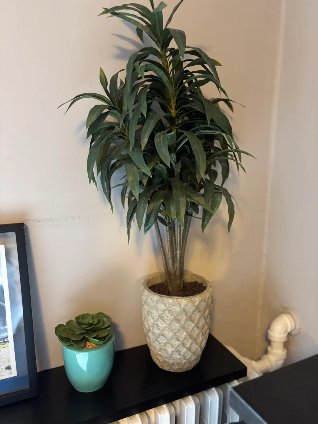 Artificial Yucca Plant in Pot image indicator(2)