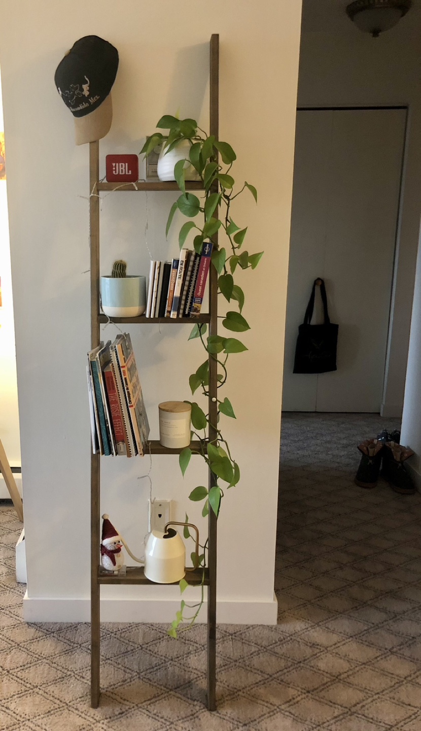 Wooden Ladder Shelf with Plant