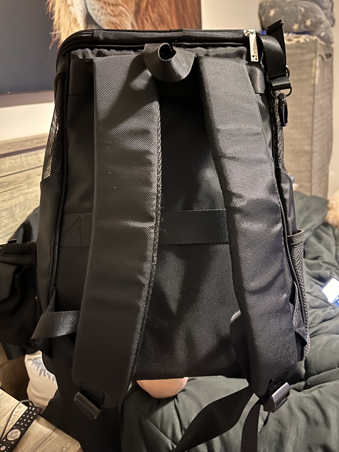 Hotel Doggy Pet Carrier Backpack - photo 3