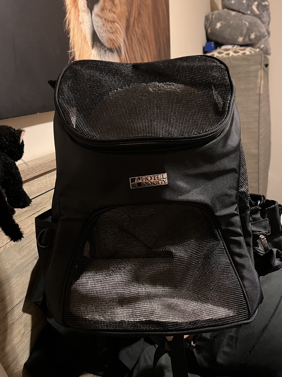 Hotel Doggy Pet Carrier Backpack - photo 2