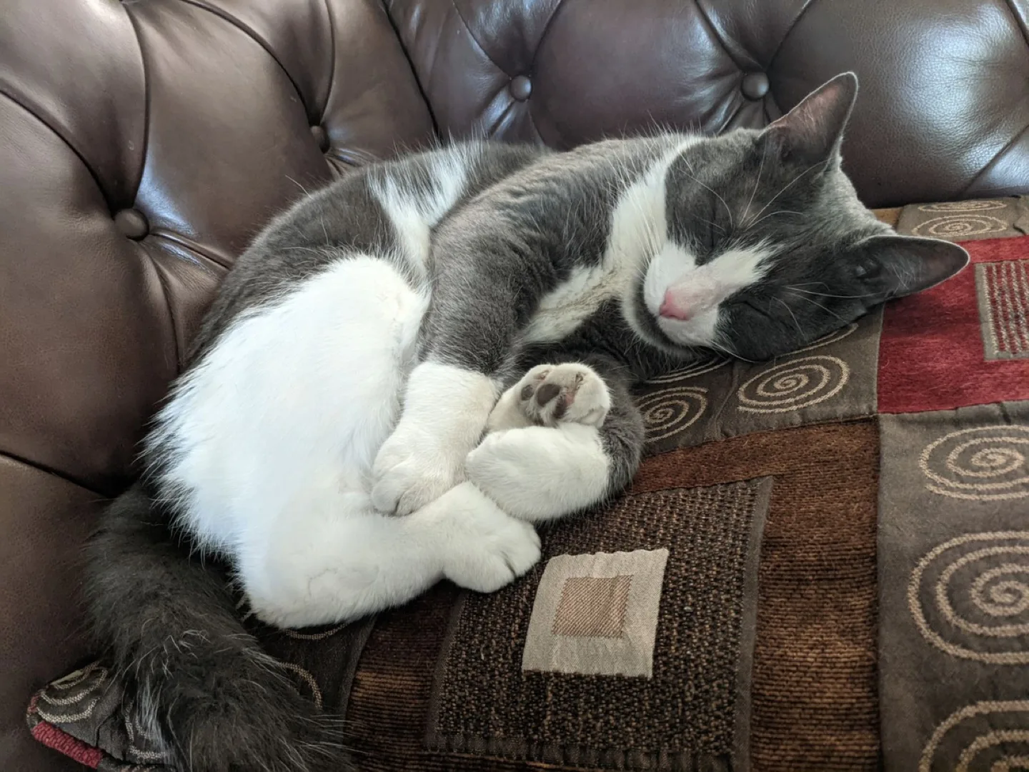 Roommate hunt / search image indicator(6)