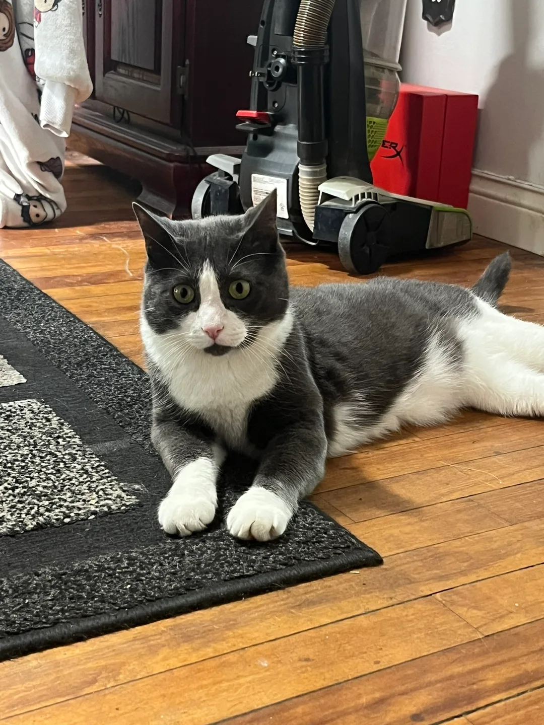 Roommate hunt / search image indicator(5)