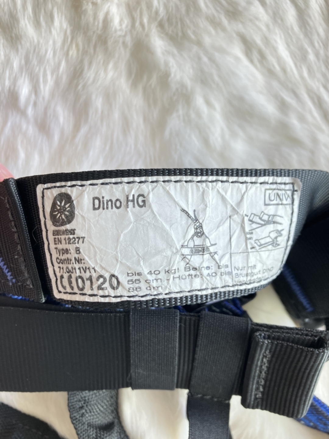 Kids Edelweiss Dino HG Climbing Harness - photo 3