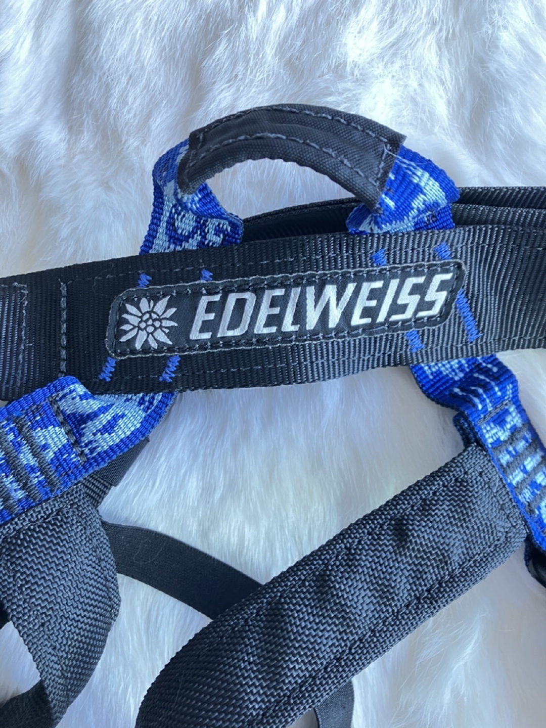 Kids Edelweiss Dino HG Climbing Harness - photo 5