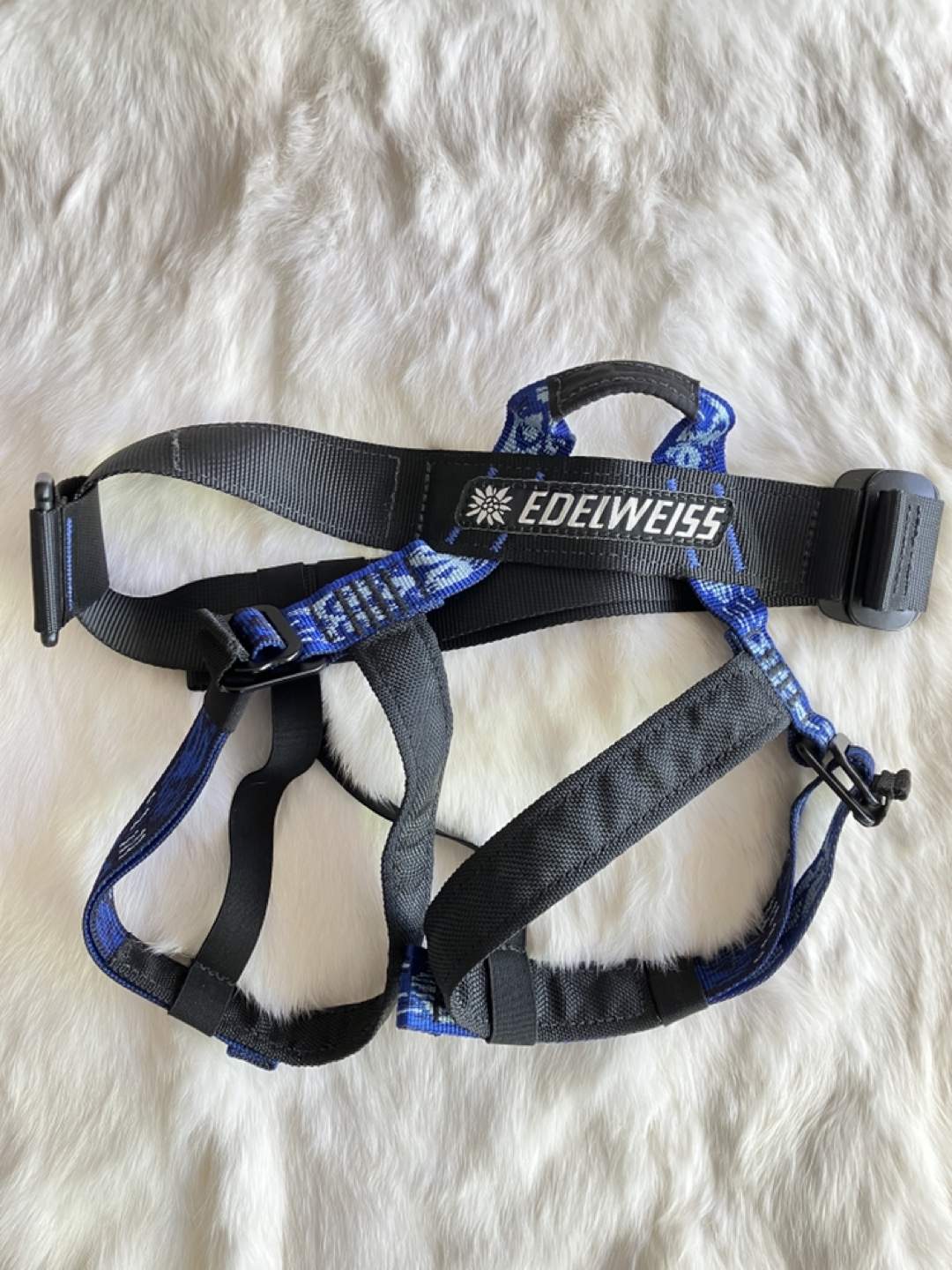 Kids Edelweiss Dino HG Climbing Harness