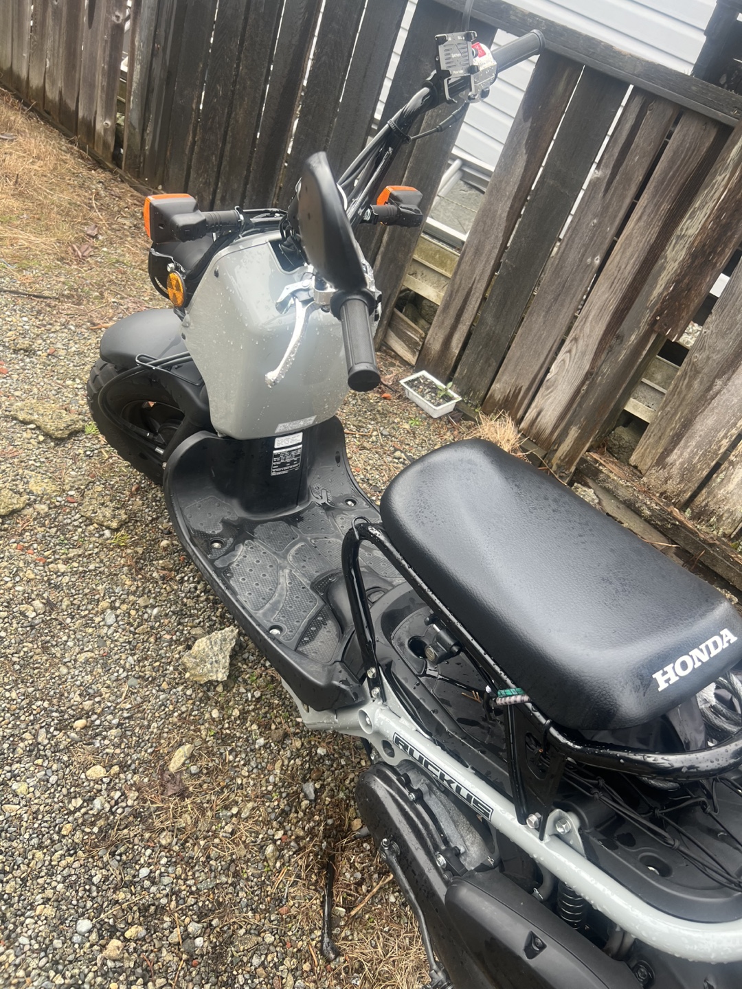 2022 honda ruckus - photo 2