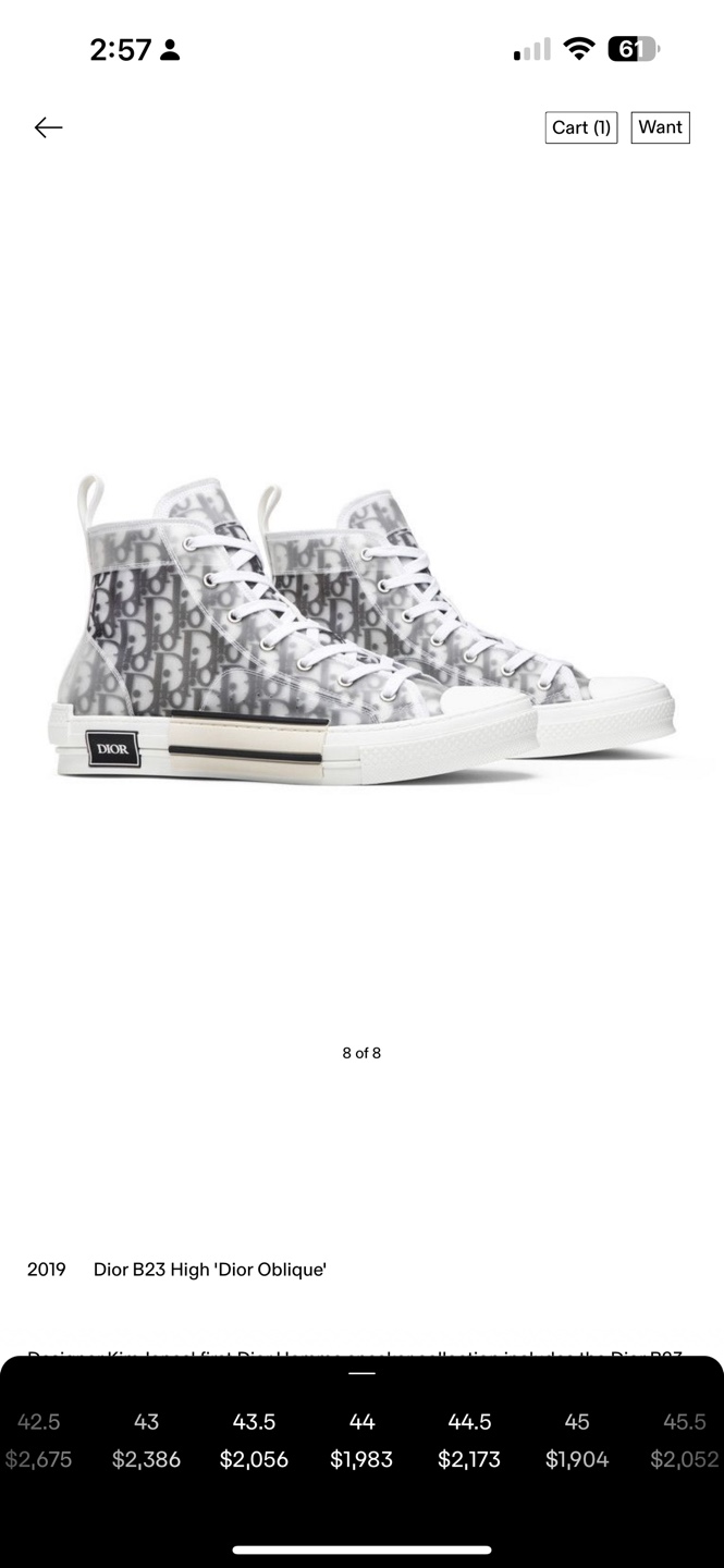 Dior B23 High Top Sneakers - Size 44