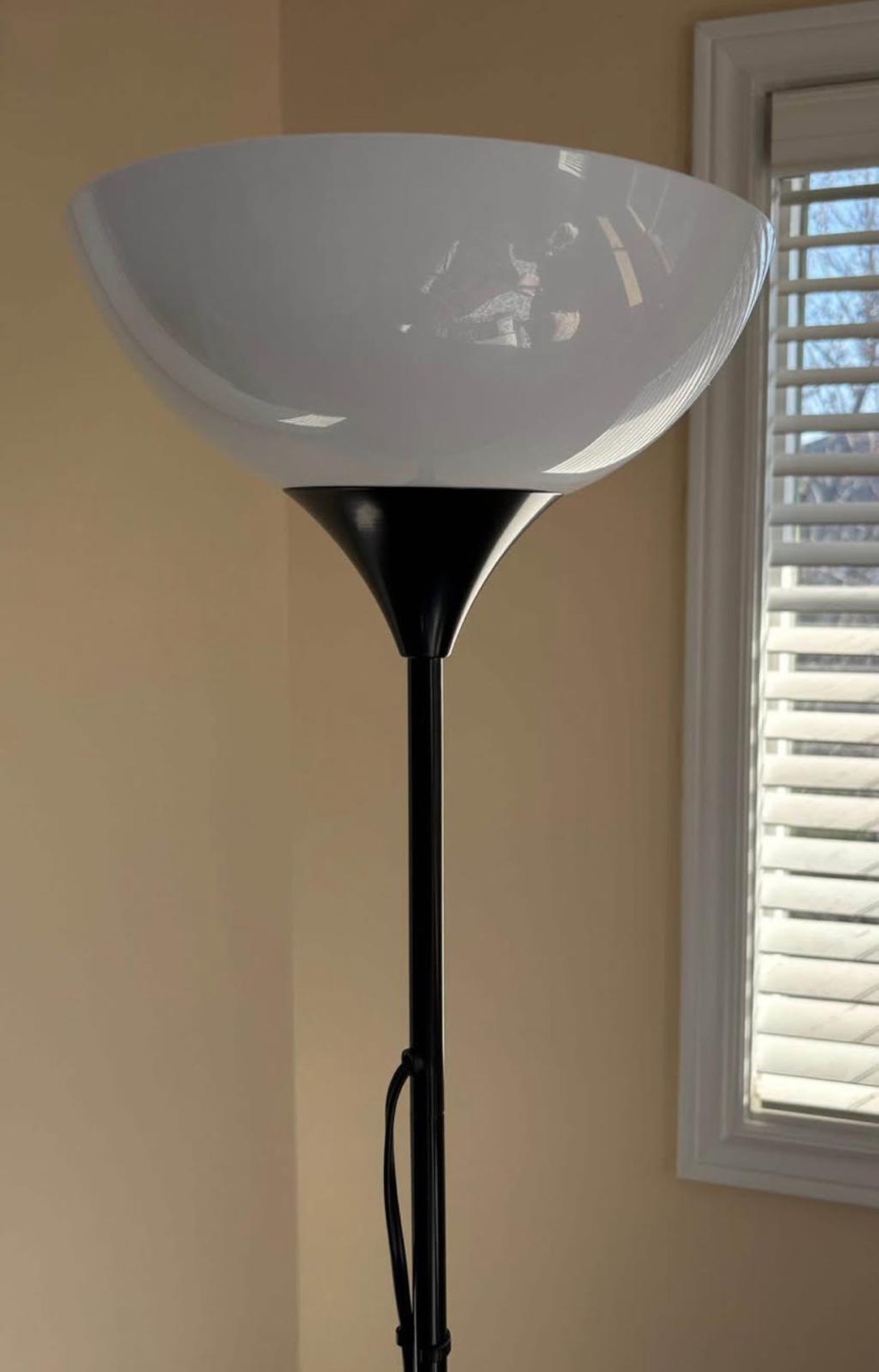 Black Floor Lamp with White Shade