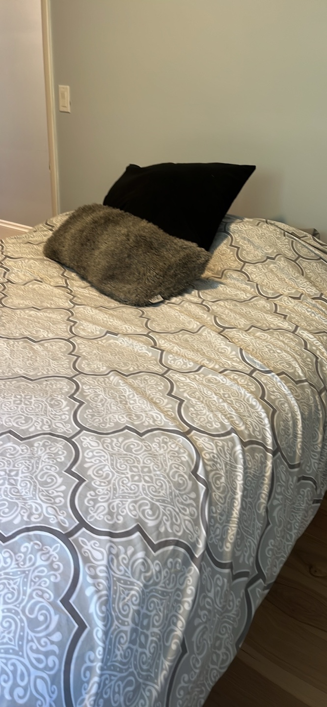 Queen Mattress and Box Spring Set