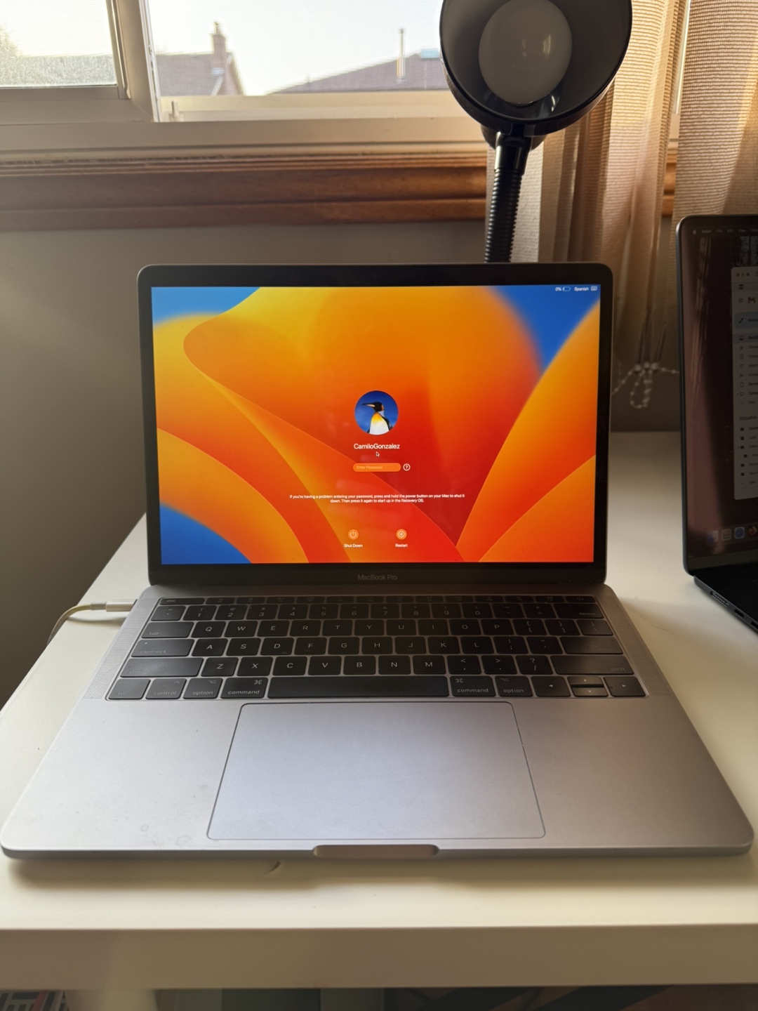 13-inch MacBook Pro - 2017 - photo 4