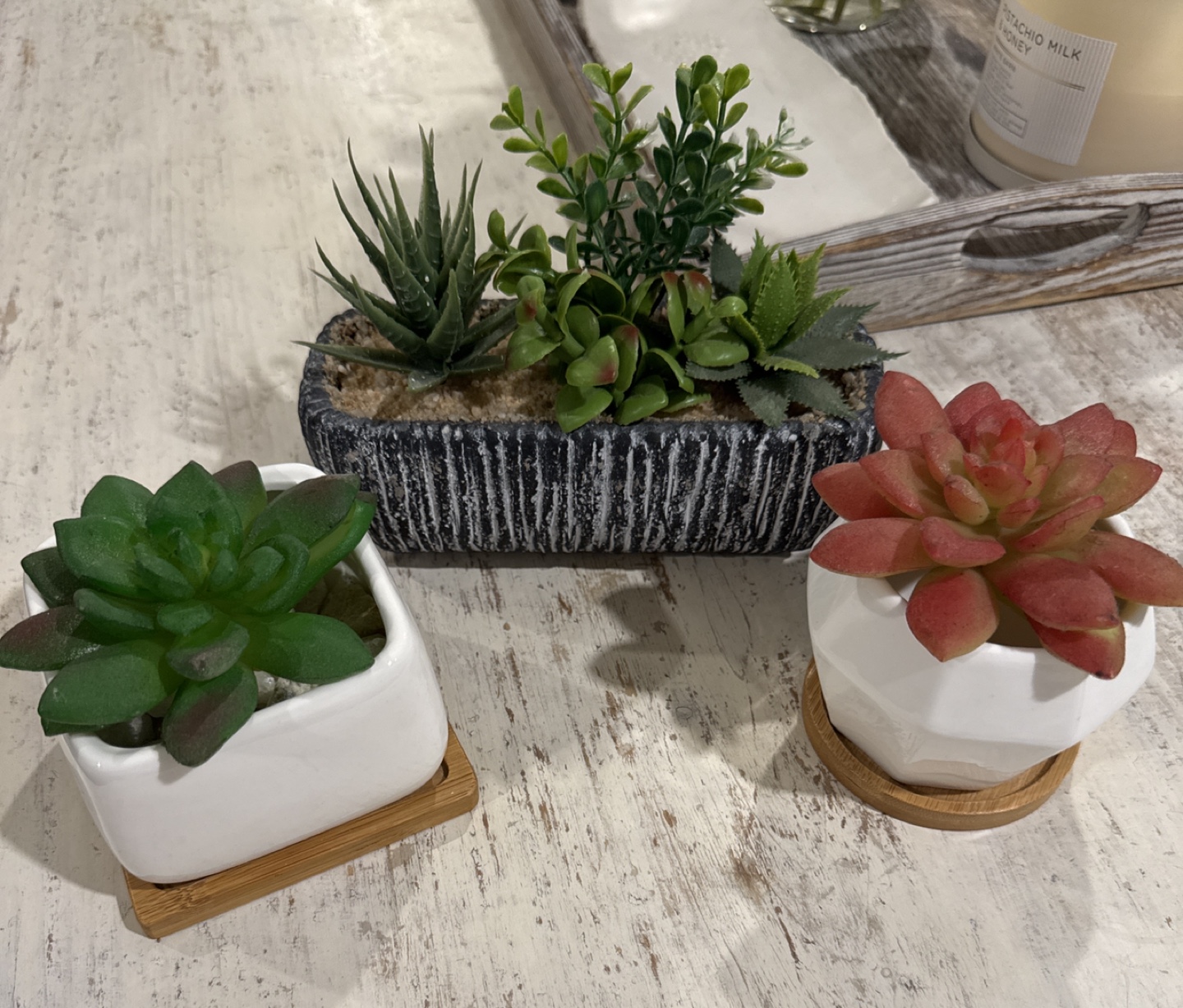Artificial Succulent Plants in Pots
