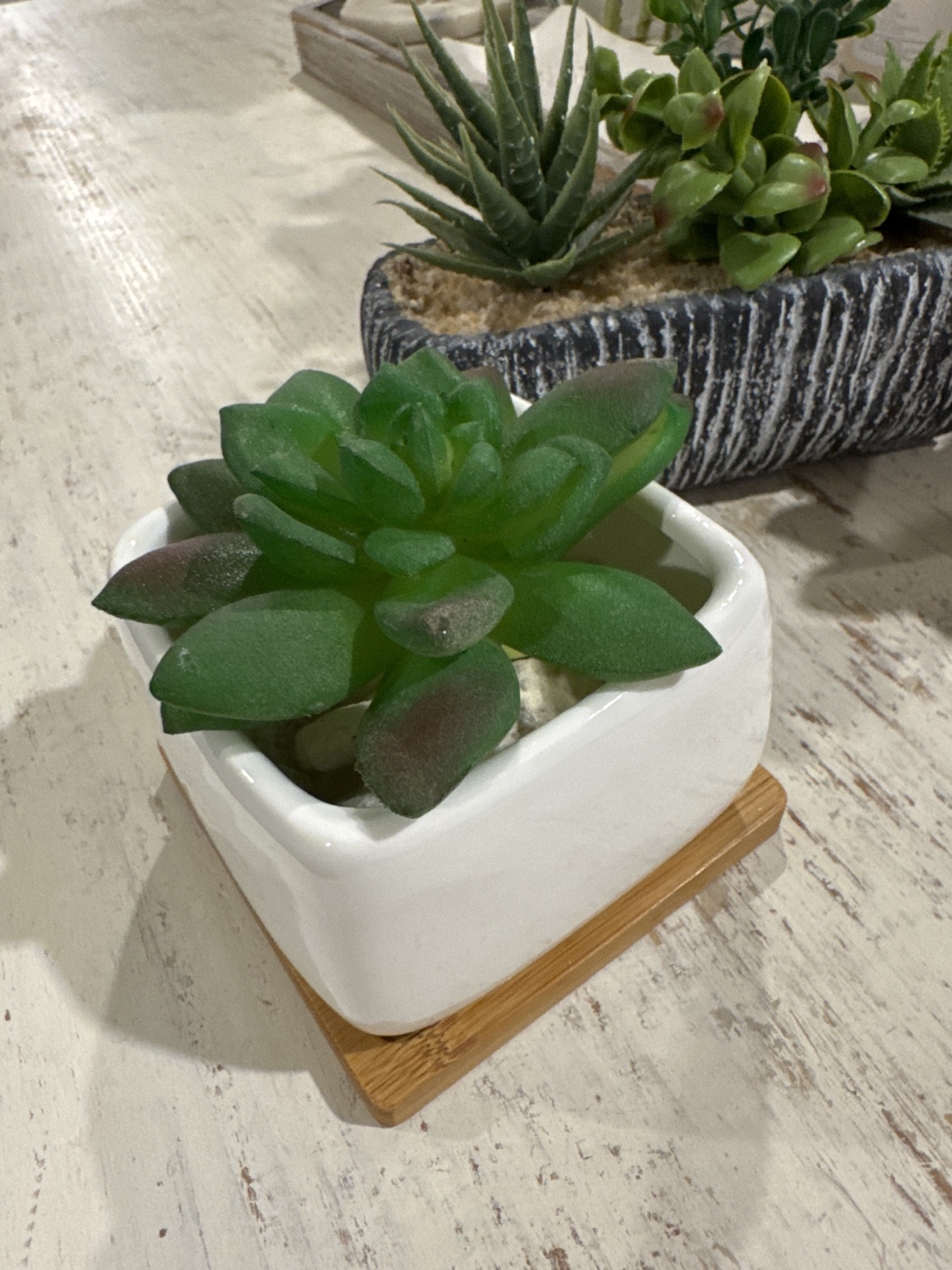 Artificial Succulent Plants in Pots - photo 2
