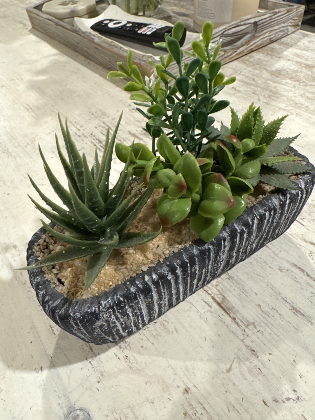 Artificial Succulent Plants in Pots - photo 4