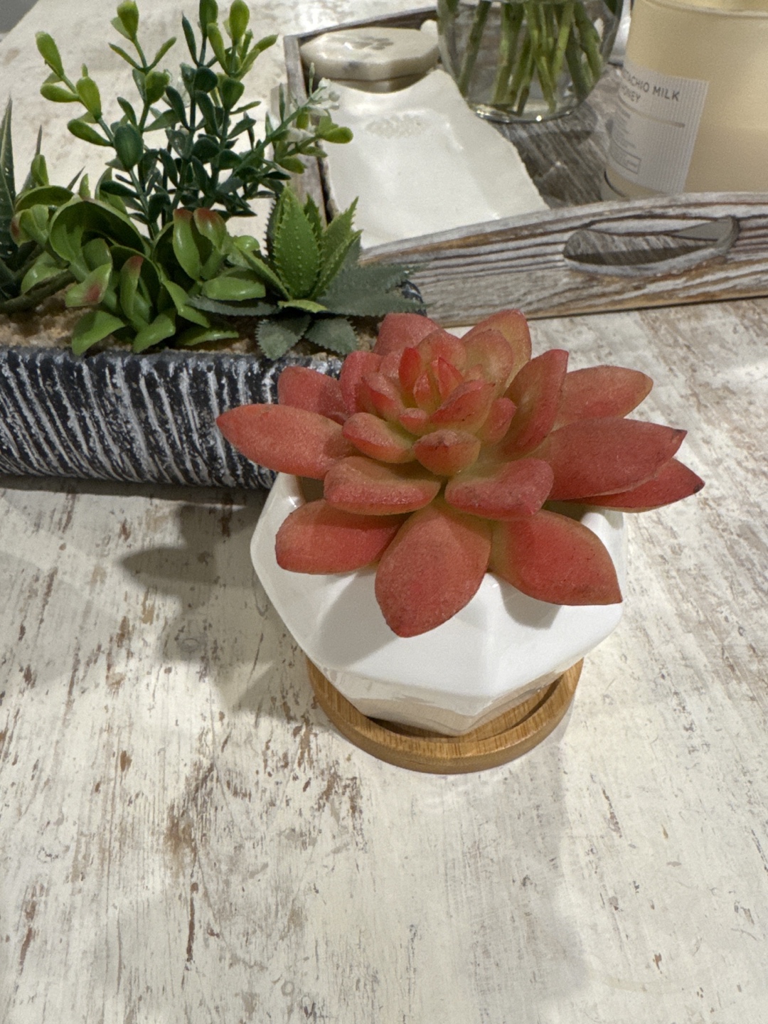 Artificial Succulent Plants in Pots - photo 3