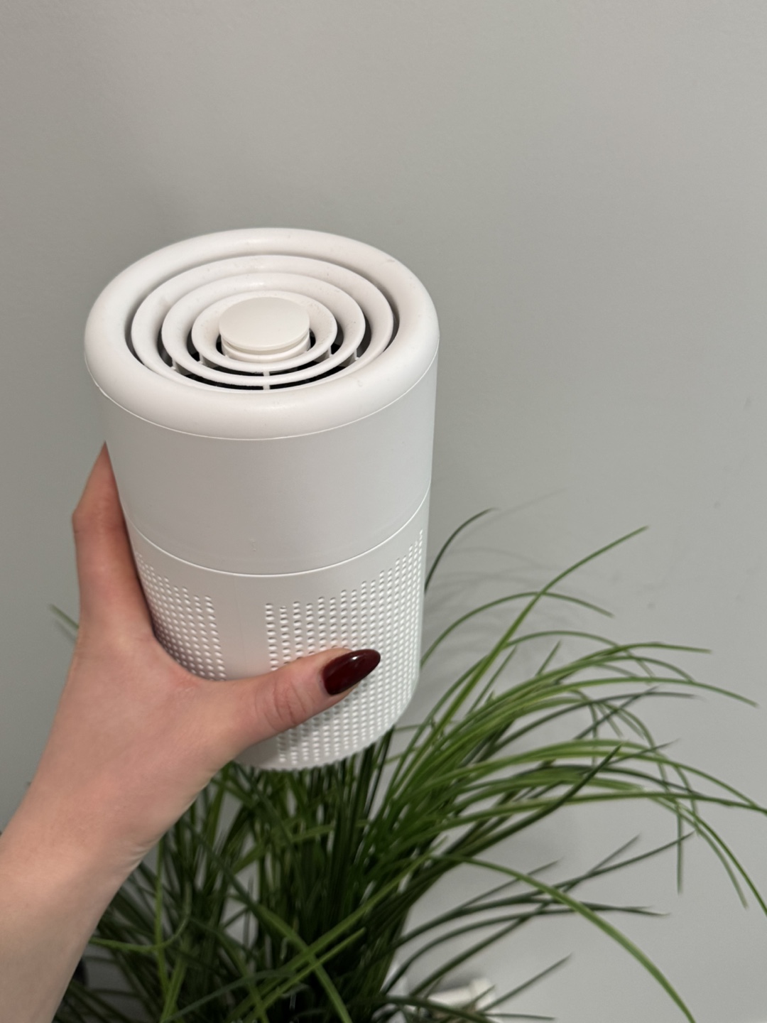 Portable Air Purifier