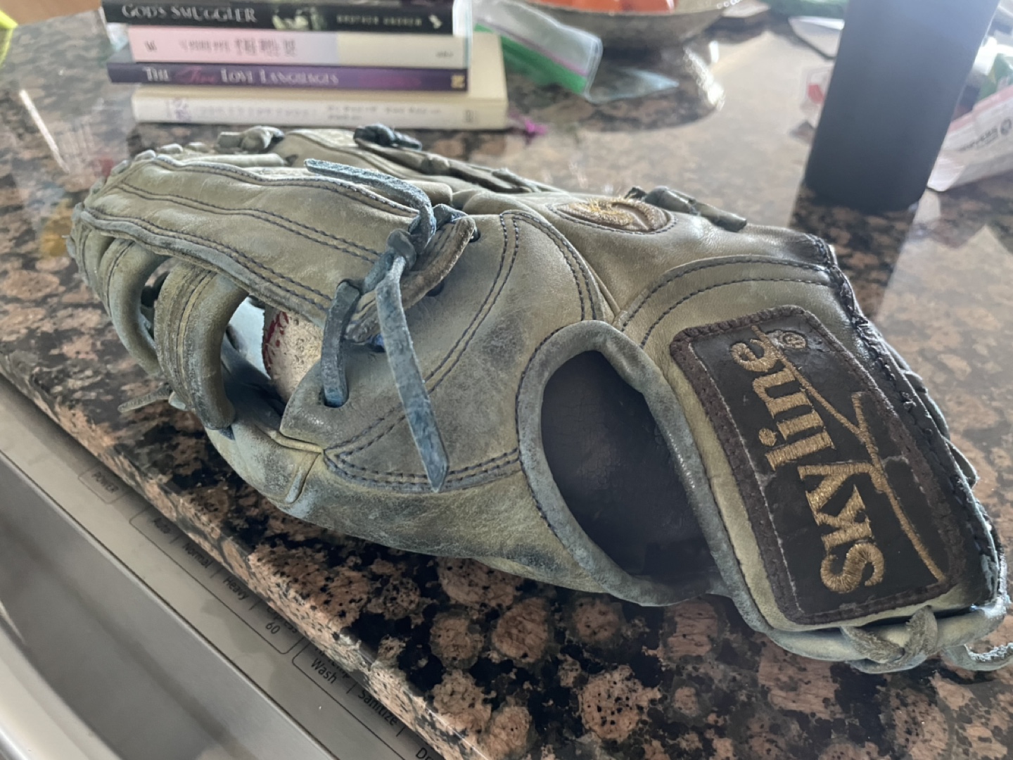 Skyline Professional G-7 Baseball Glove